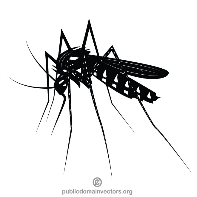 mosquito clipart