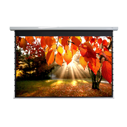 motorized projector screen canada