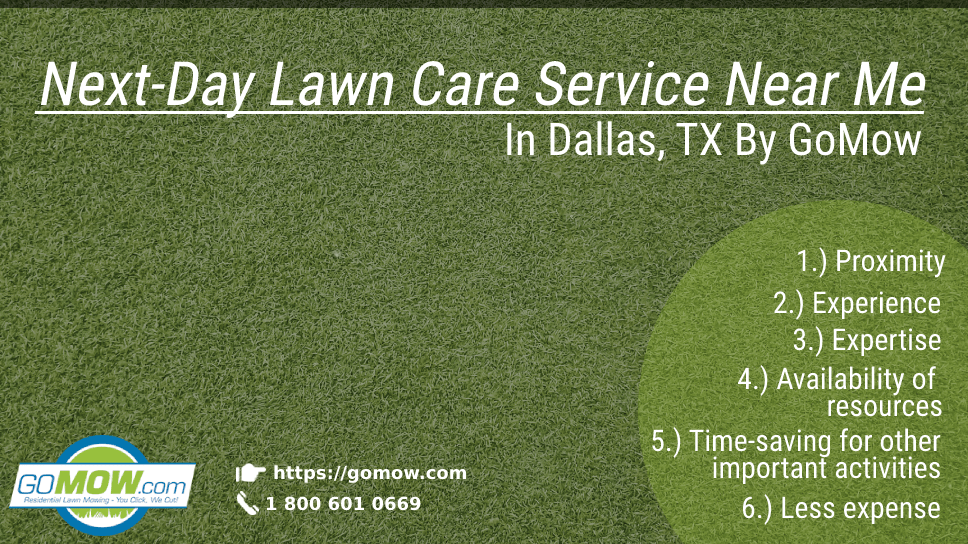 mow service near me