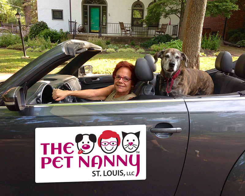 nanny st louis