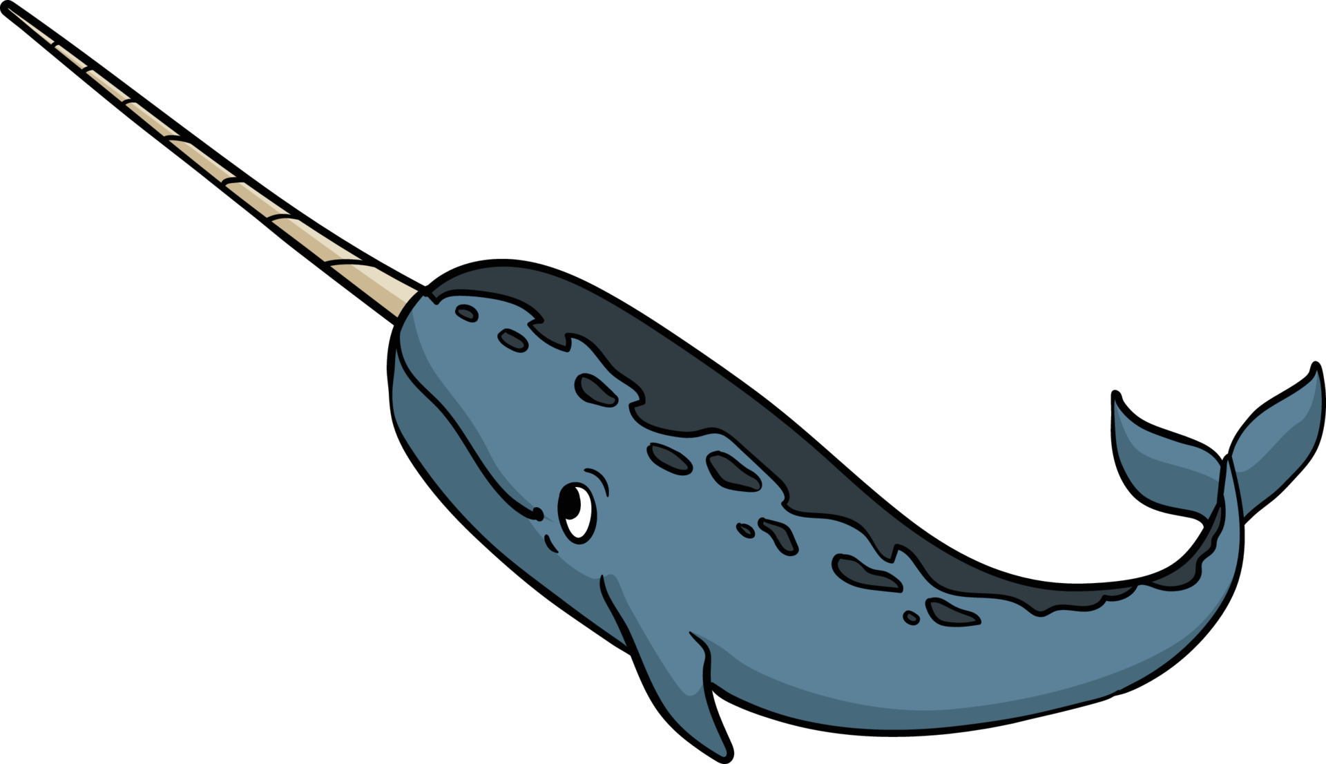 narwhal clipart