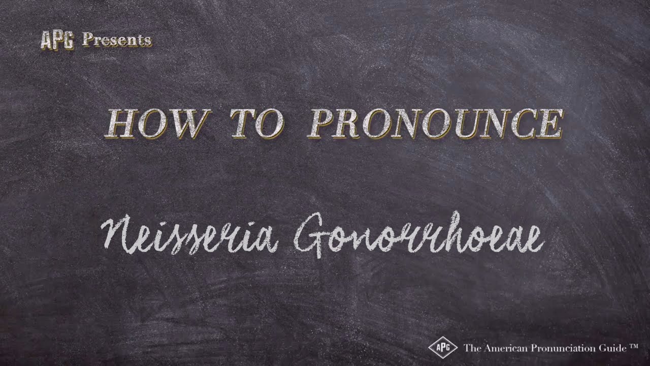 neisseria gonorrhoeae pronunciation