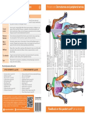 neurology pocketcard set pdf