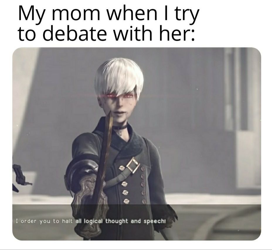 nier automata meme