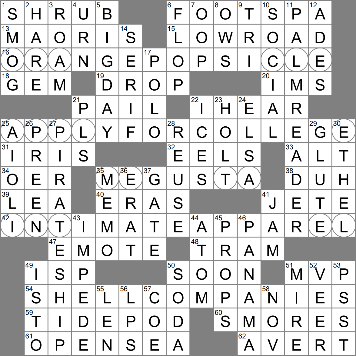 of the foot crossword