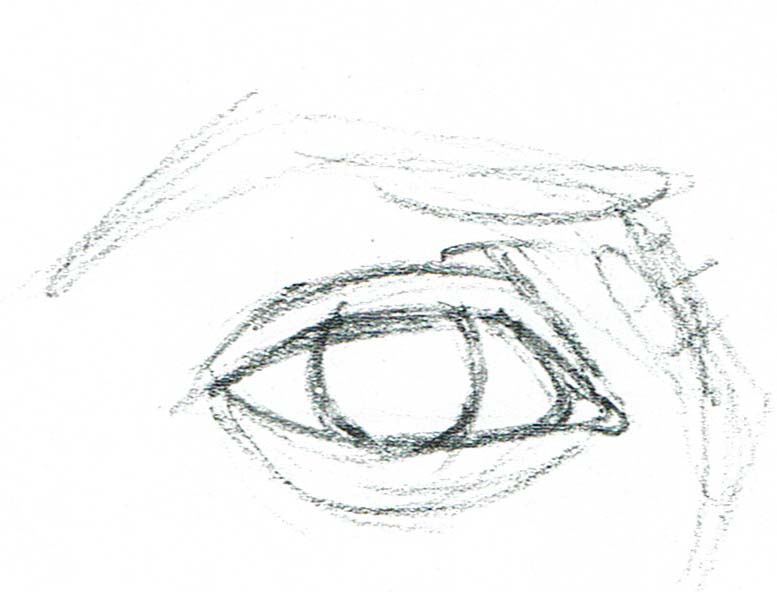 ojos anatomia dibujo