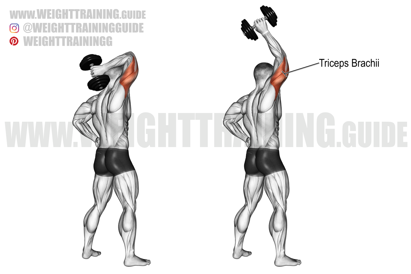 one arm dumbbell extension