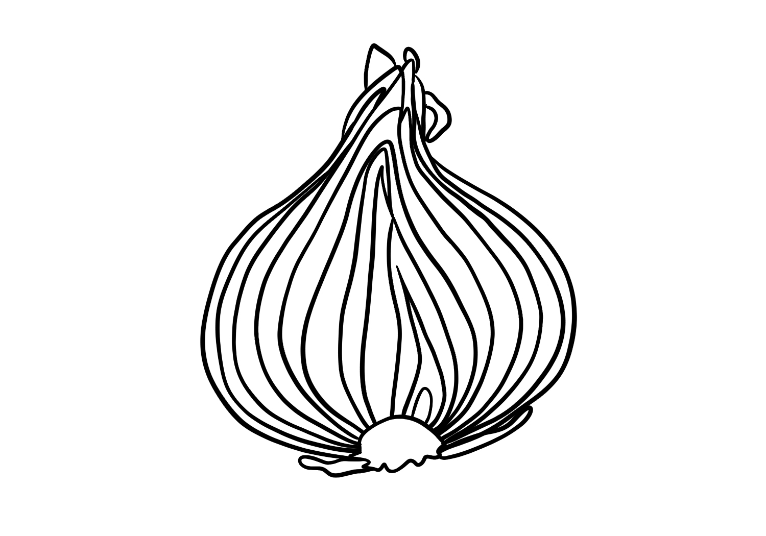 onion drawing images