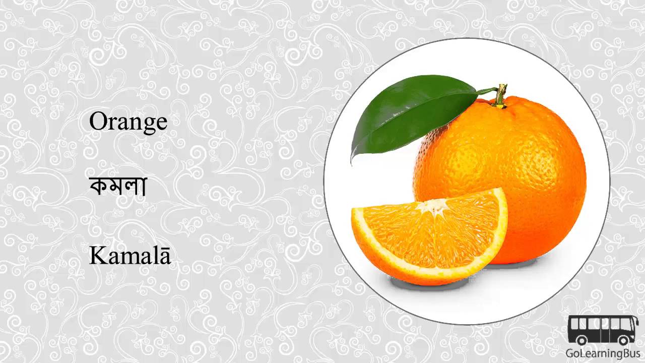 orange meaning in bengali