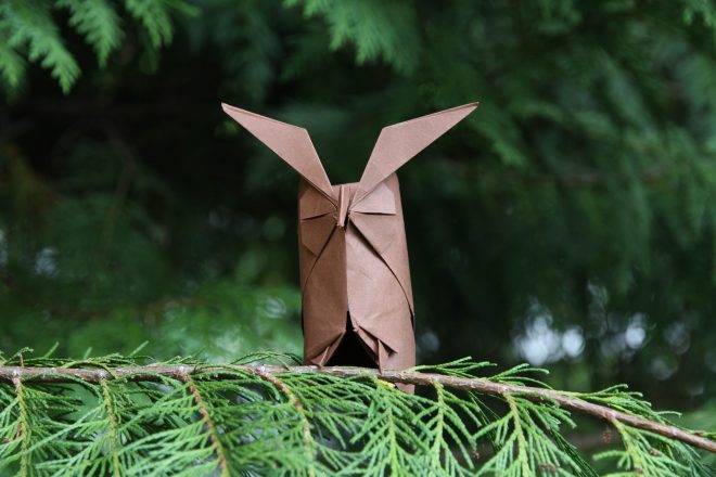 origami stock photo