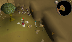 osrs lost city