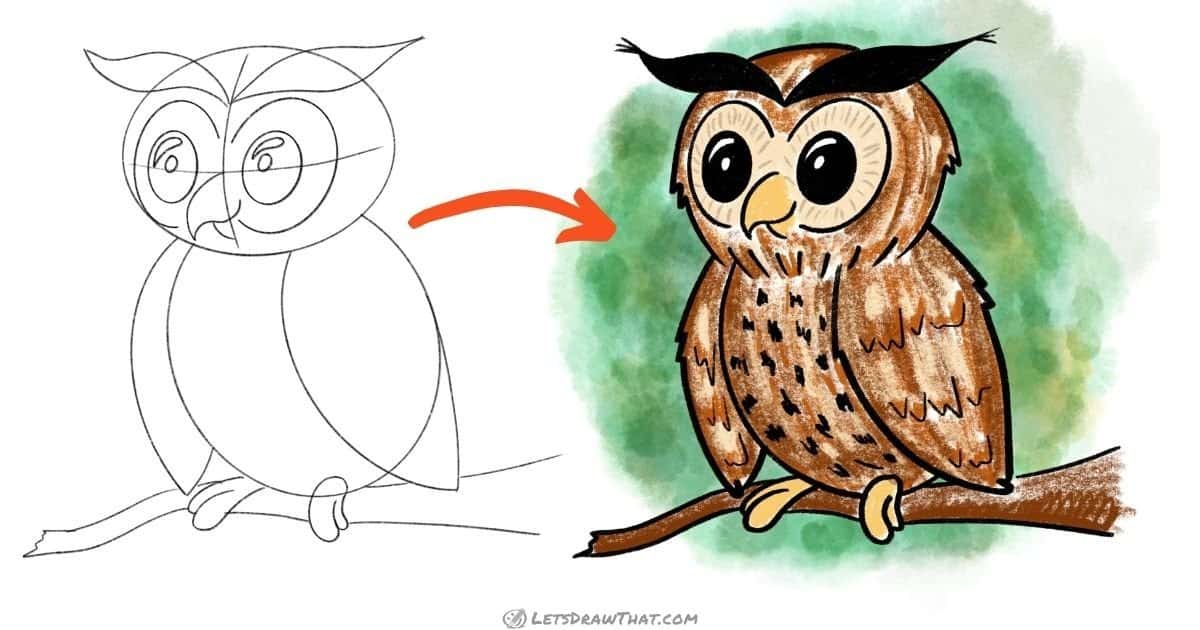 owl drawing images