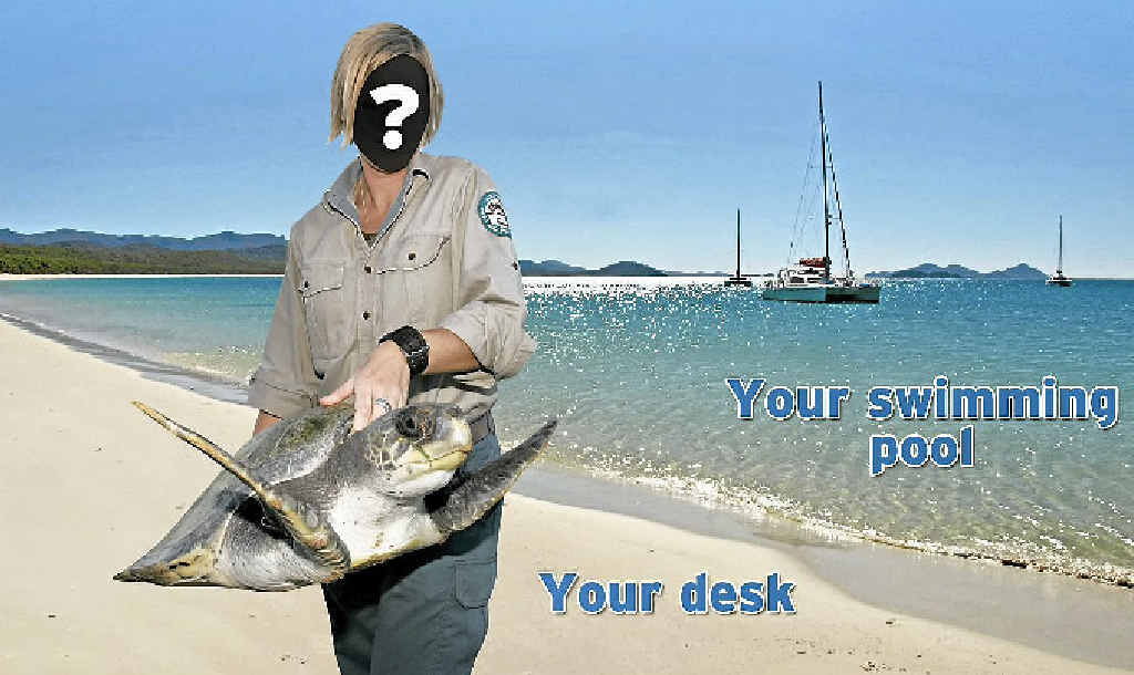 park ranger australia salary