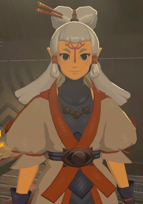 paya zelda