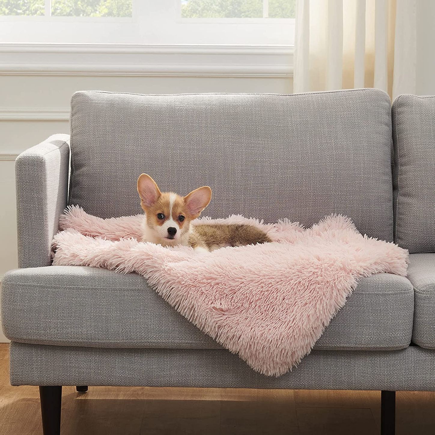 pet blanket for sofa