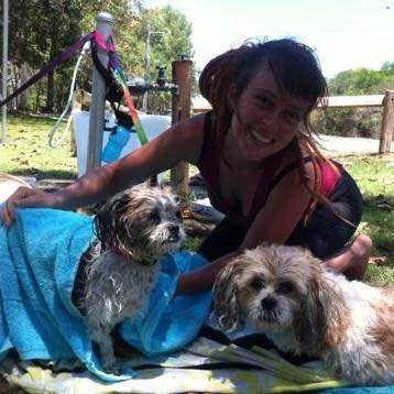 pet boarding cairns