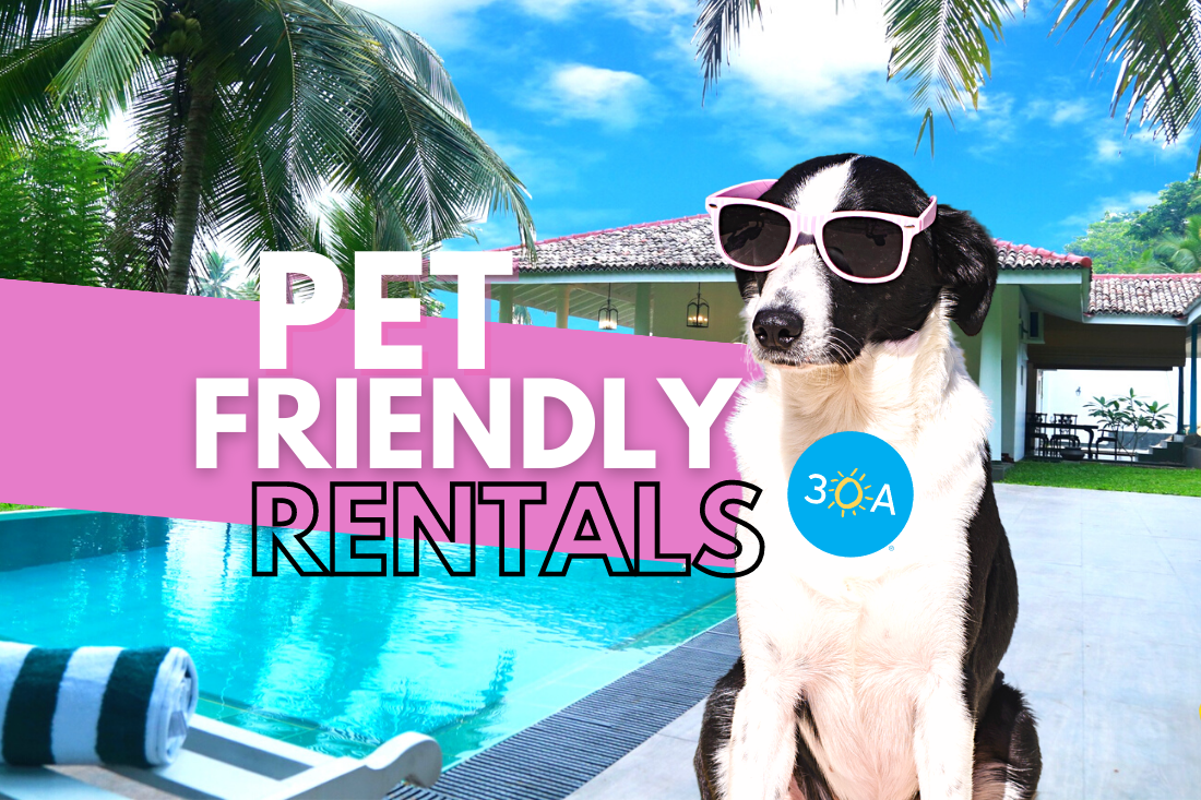 pet friendly rentals