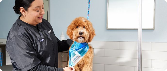 petsmart com grooming