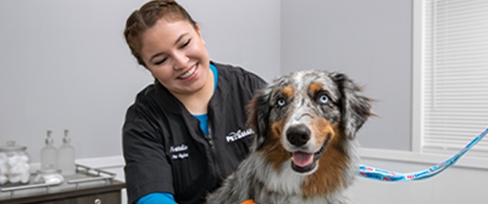 petsmart dog bath