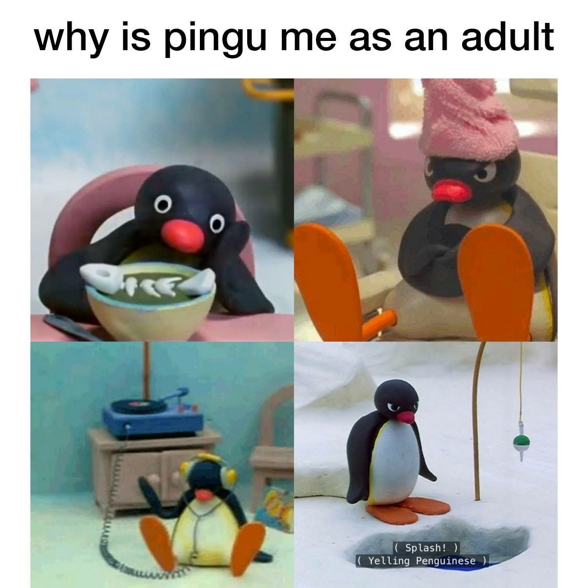 pingu memes