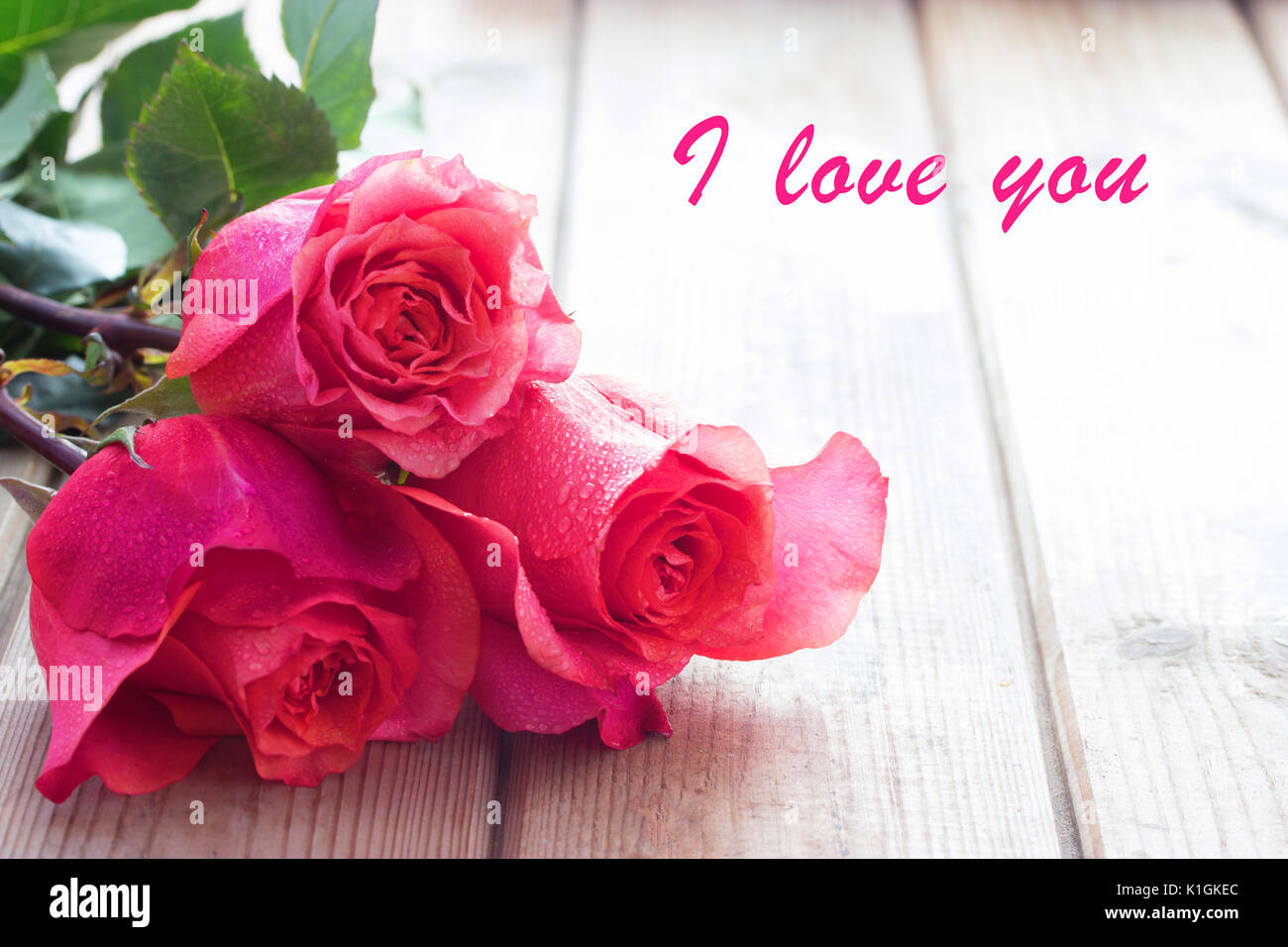 pink rose images with love