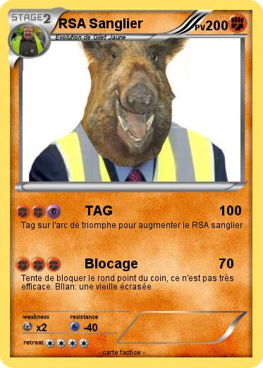 pokemon sanglier