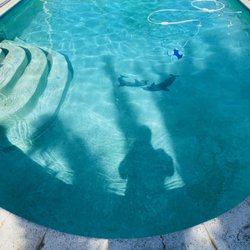 pool service near me