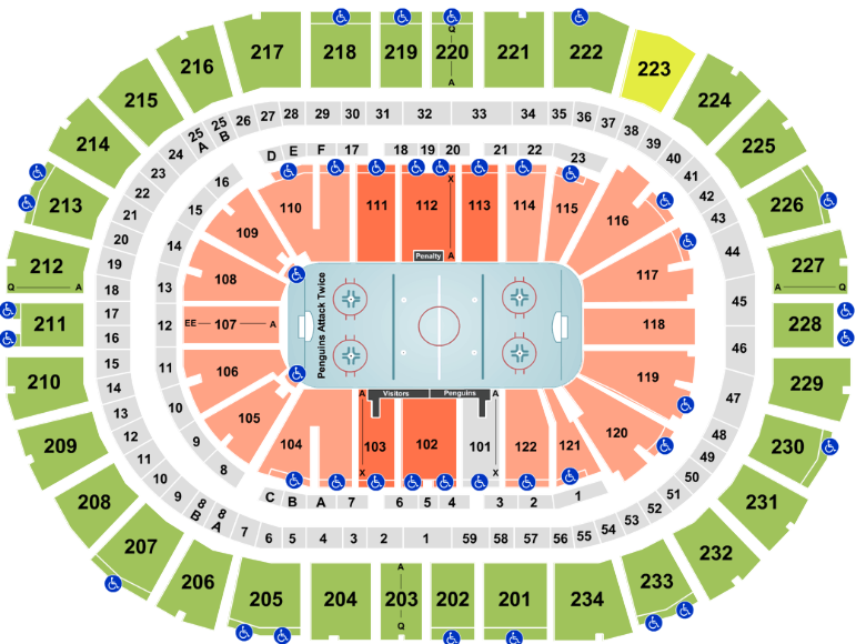 ppg paints arena seating chart