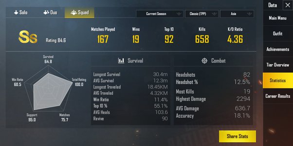 pubg stats player