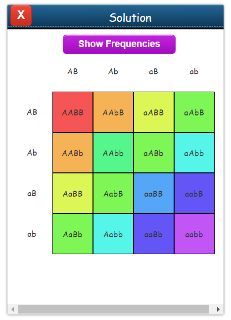 punnet square calculator