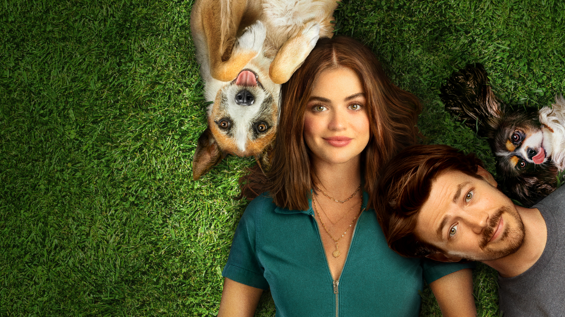 puppy love lucy hale streaming