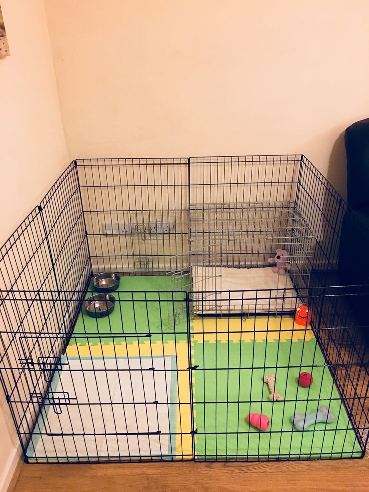 puppy pens indoor