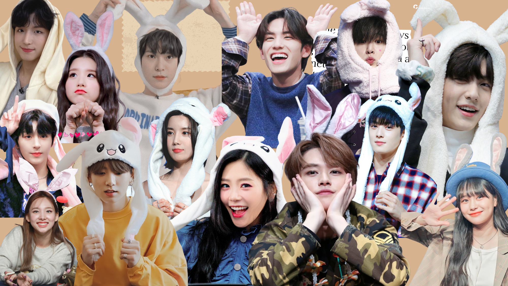 rabbit kpop