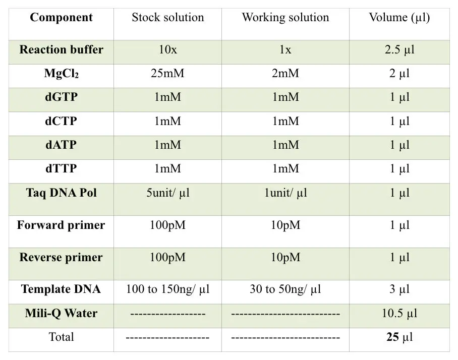 reaction buffer pcr