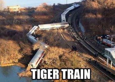 richmond tigers memes