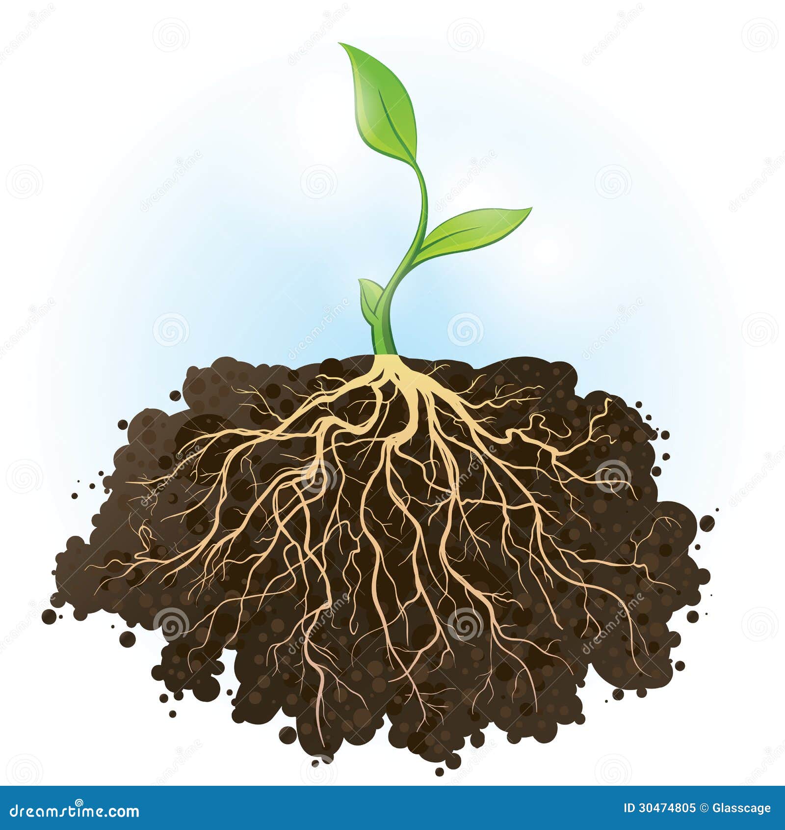 roots clipart