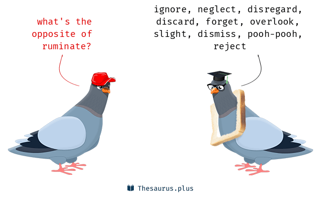 ruminate antonym