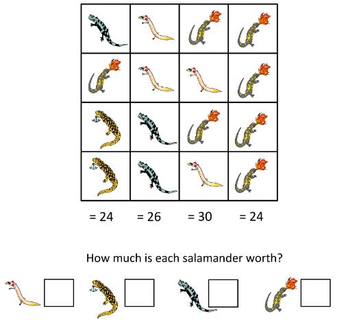 salamander maths
