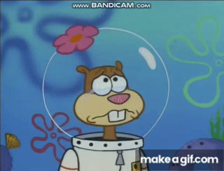 sandy cheeks crying