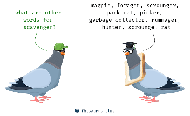 scavenger thesaurus