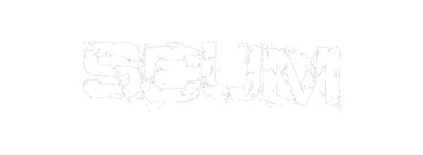 scum admin tool