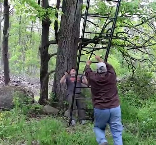 setting up a ladder stand