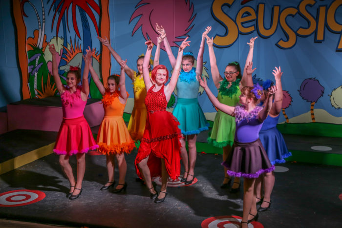 seussical costumes