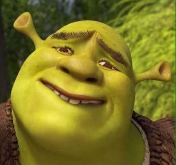 shrek long face meme