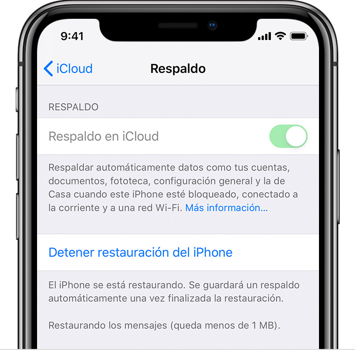 si reinicio mi iphone se borra todo