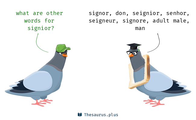 signor meaning