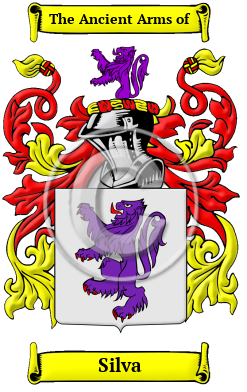 silva coat of arms