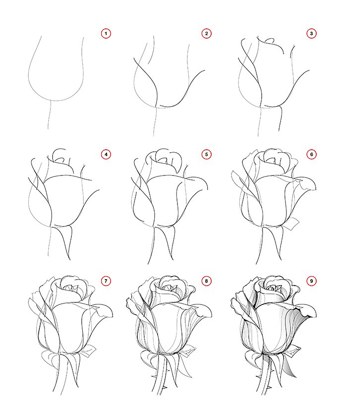 simple things to draw step by step