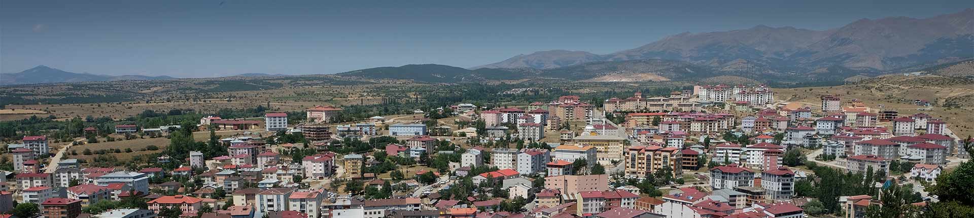 sivas gümüşhane otobüs