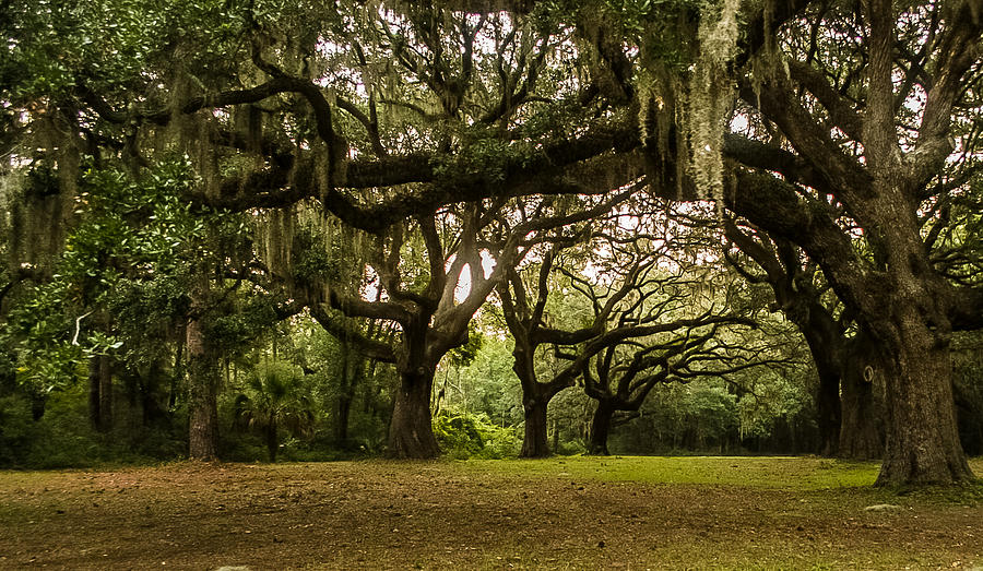 six oaks cemetery hilton head sc